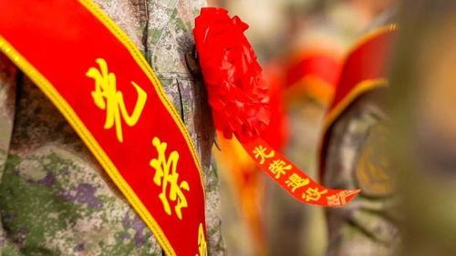 9月14日最新爆料,揭秘重大事件背后真相